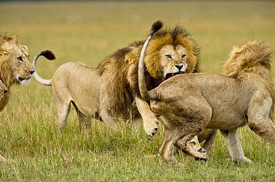 《星球大战：亡命之徒》IGN 7分 战斗重复、bug多