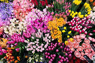 《最后的生还者》PC版与PS5版画质对比 画面更好